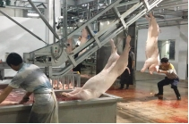 白条提升机（双轨）